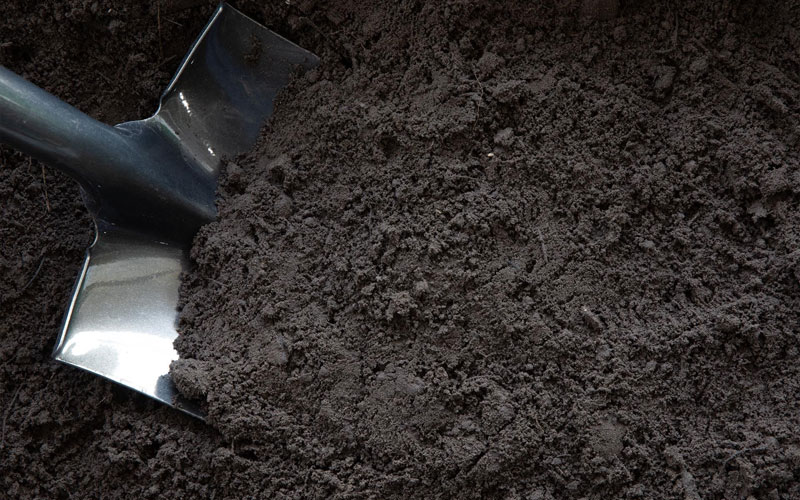 Screened Topsoil — Rich screened topsoil and planting mix — ready for lawns, beds and grading.